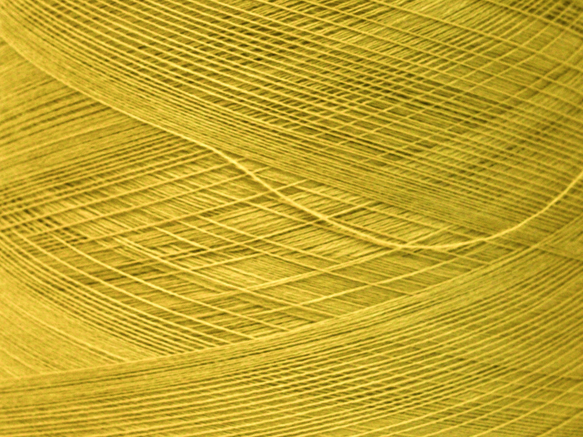 Mustard - 14836 - 100% Extra Fine Merino Wool - Lana GATTO - 100g/3.5oz