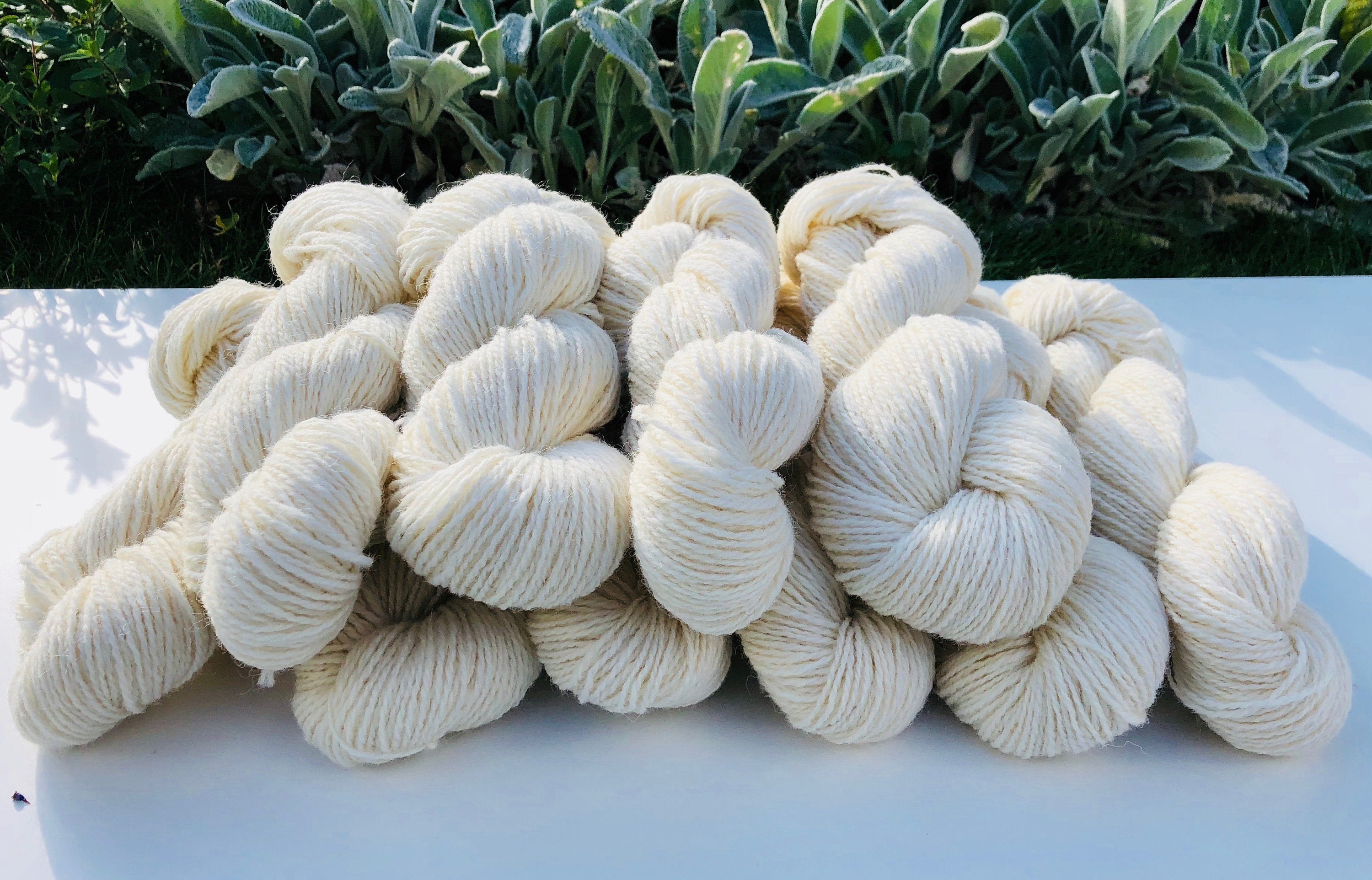 European sheep wool yarn | european-sheep-wool-yarn-1