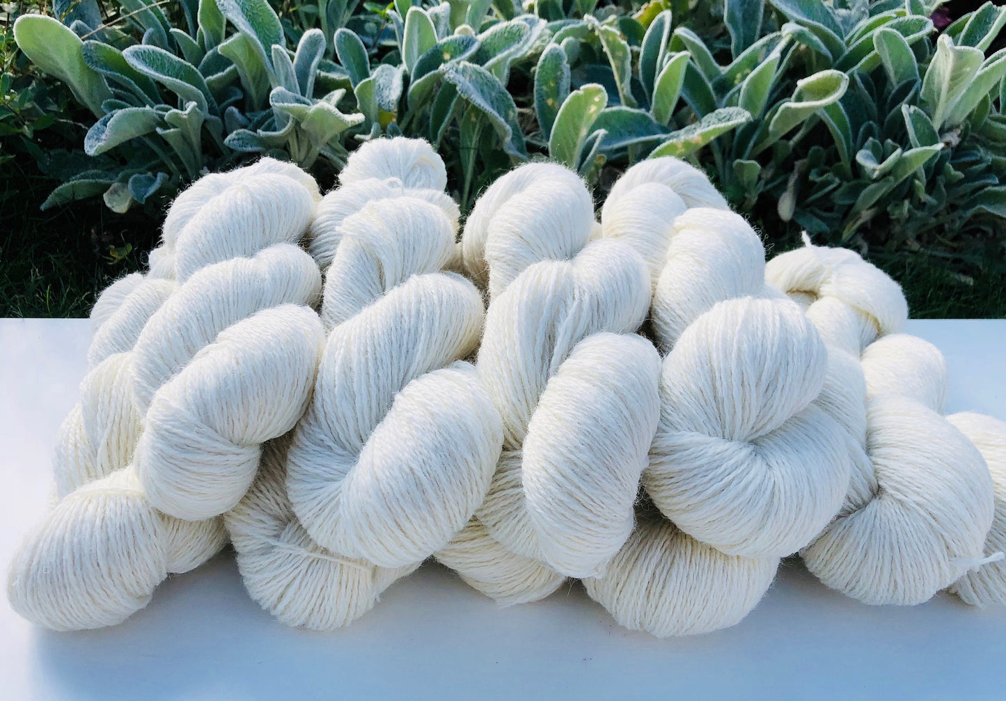 New Zealand fingering Milk white wool yarn | new-zealand-fingering-milk-white-wool-yarn