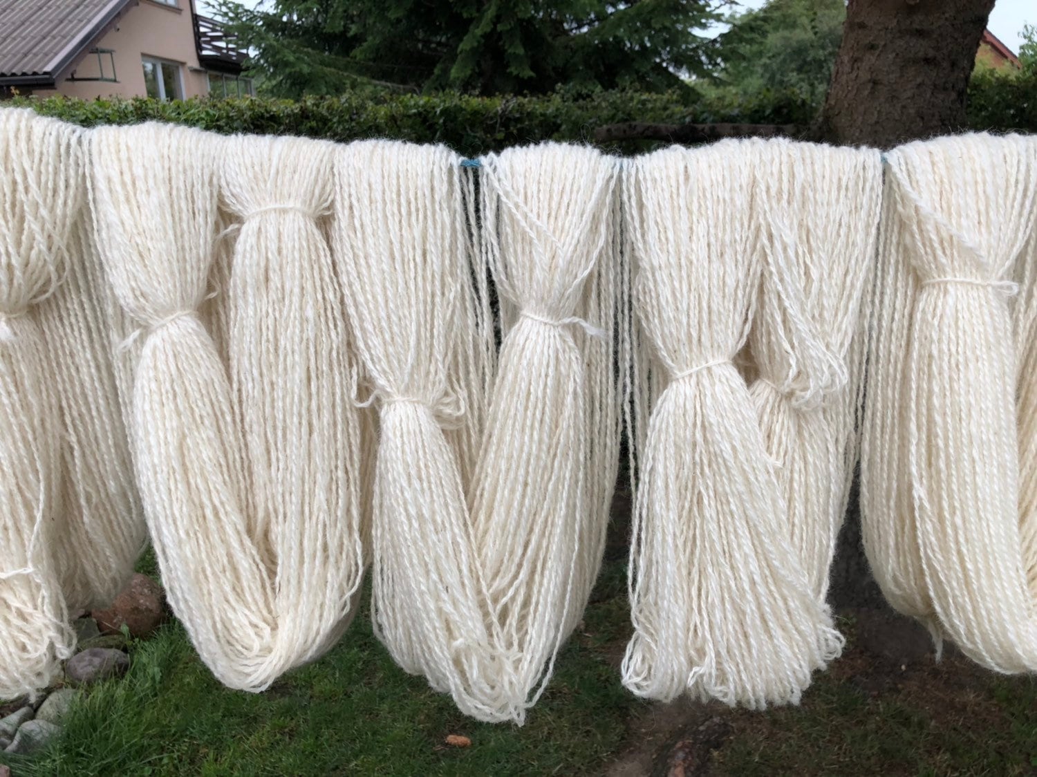 European sheep wool yarn | european-sheep-wool-yarn-1