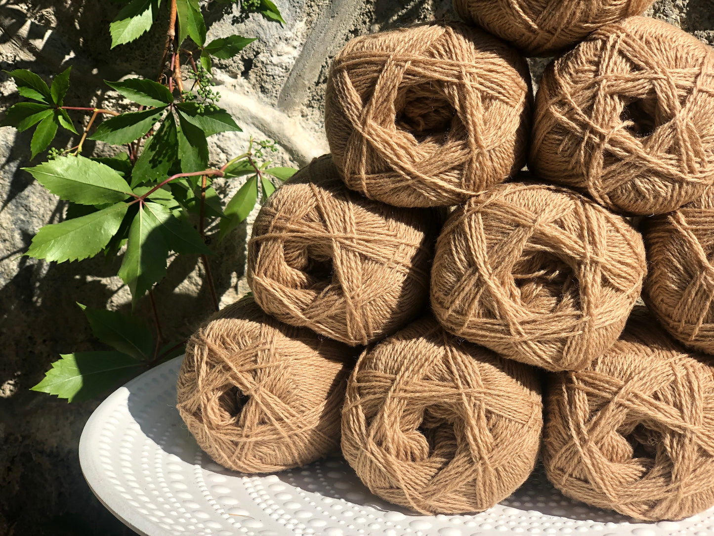 New Zealand Tortilla Color wool yarn | new-zealand-tortilla-color-wool-yarn