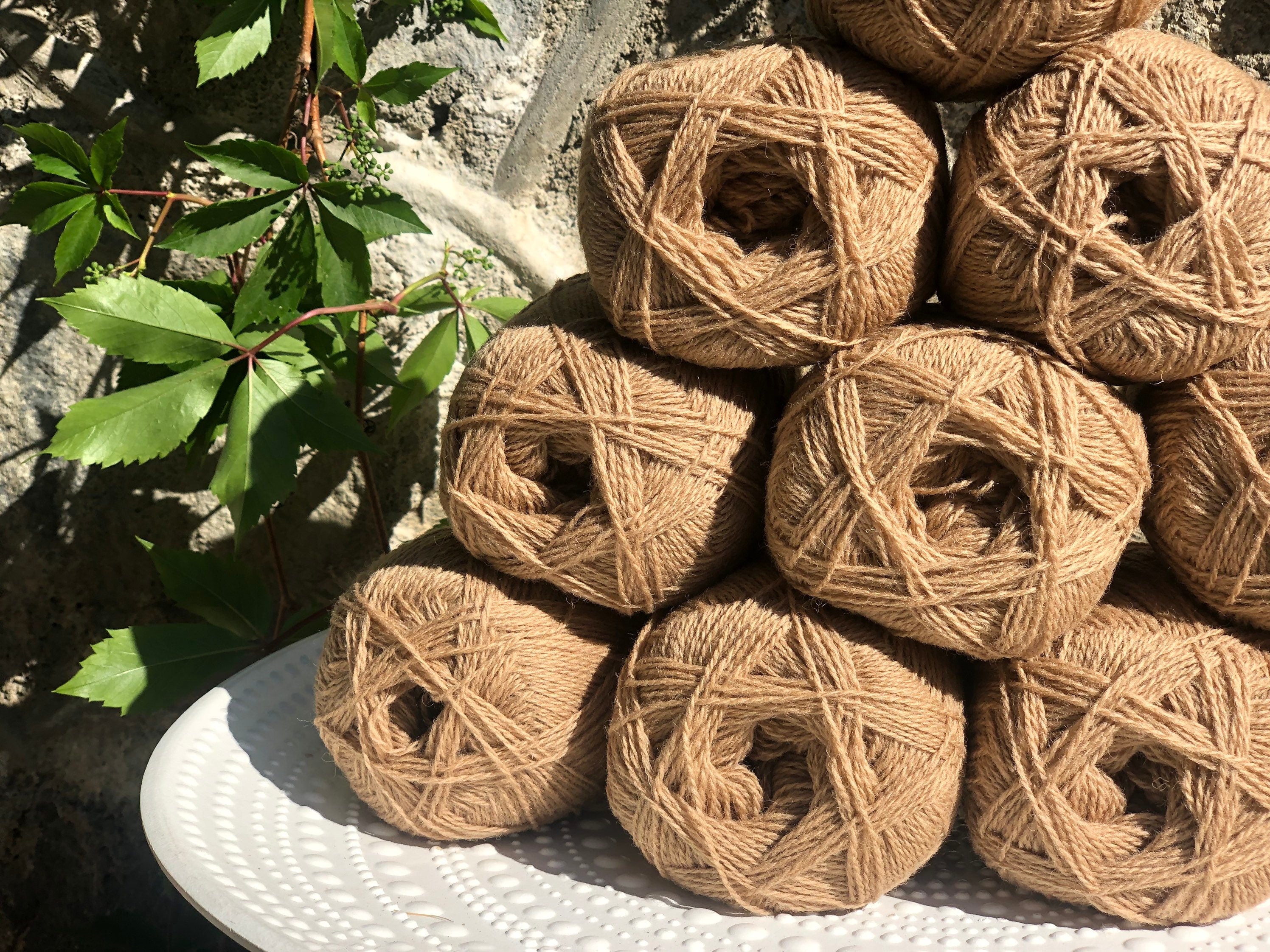 New Zealand Tortilla Color wool yarn | new-zealand-tortilla-color-wool-yarn