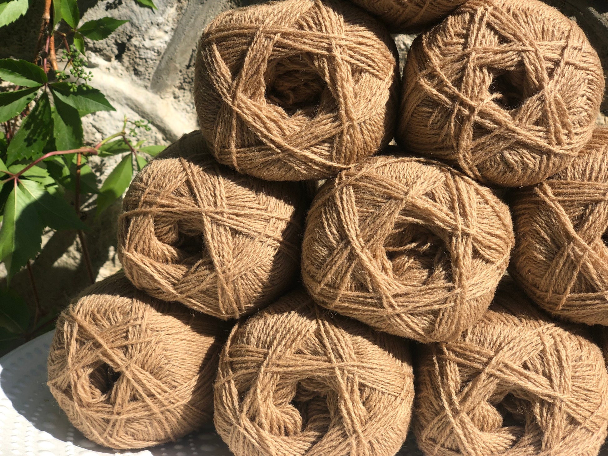 New Zealand Tortilla Color wool yarn | new-zealand-tortilla-color-wool-yarn