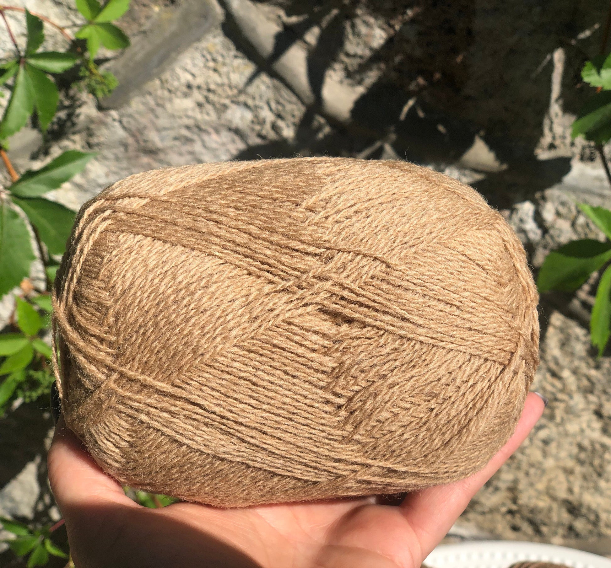 New Zealand Tortilla Color wool yarn | new-zealand-tortilla-color-wool-yarn
