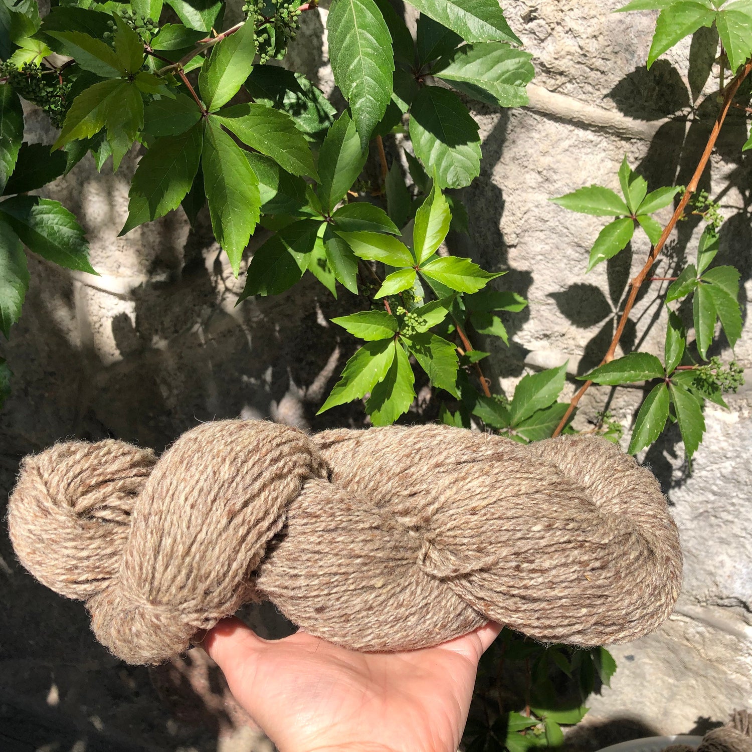 Grey-brown dog wool yarn | grey-brown-dog-wool-yarn