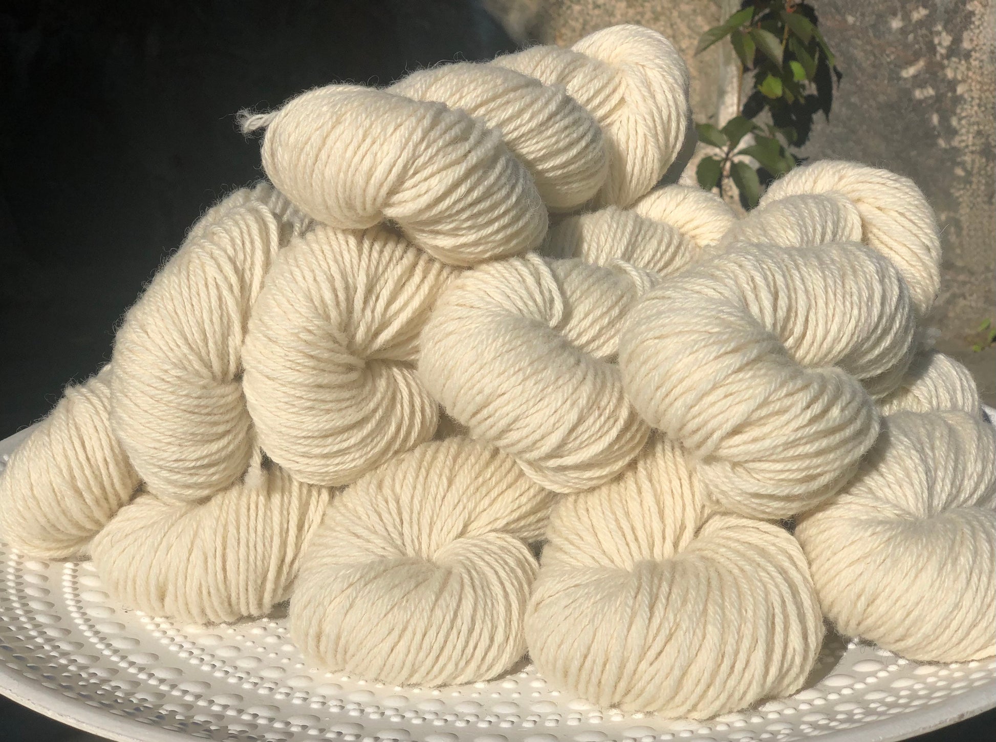 Milk white sheep wool yarn | milk-white-sheep-wool-yarn