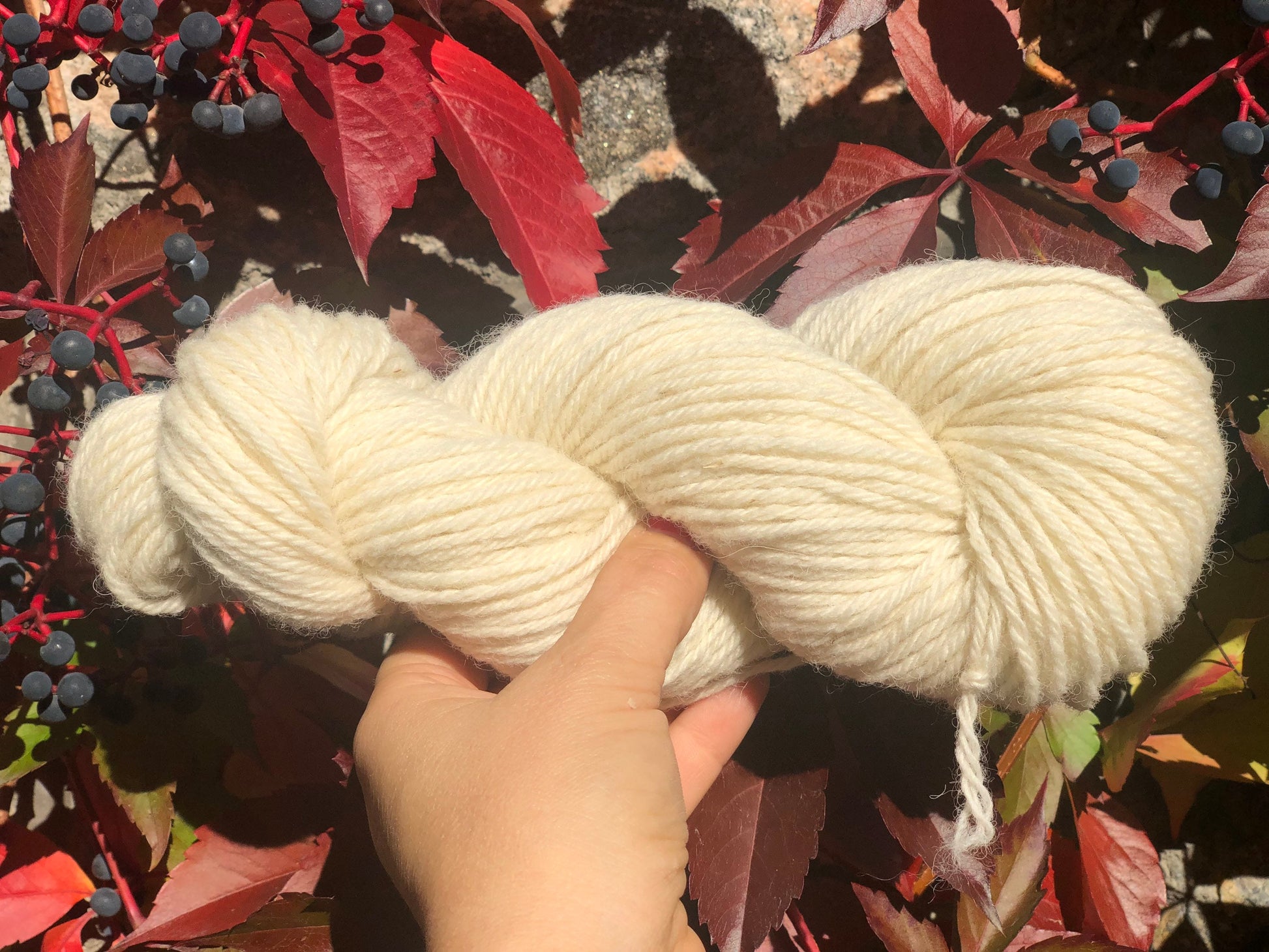Milk white sheep wool yarn | milk-white-sheep-wool-yarn